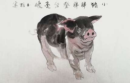 张玉柱 小猪胖胖