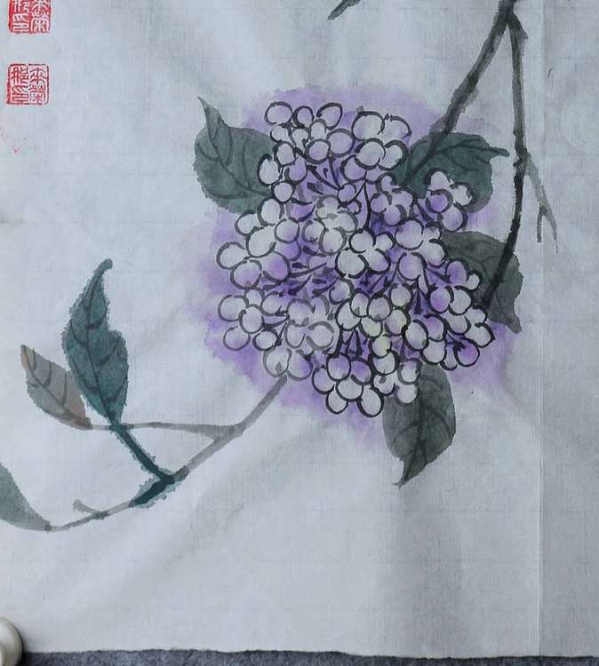 来荣娜 迎风有情