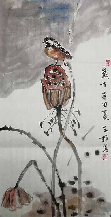 美术教师，赤峰画院青年潜力艺术家--张玉柱 秋荷