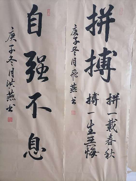职业书画家 白洪燕 自强不息