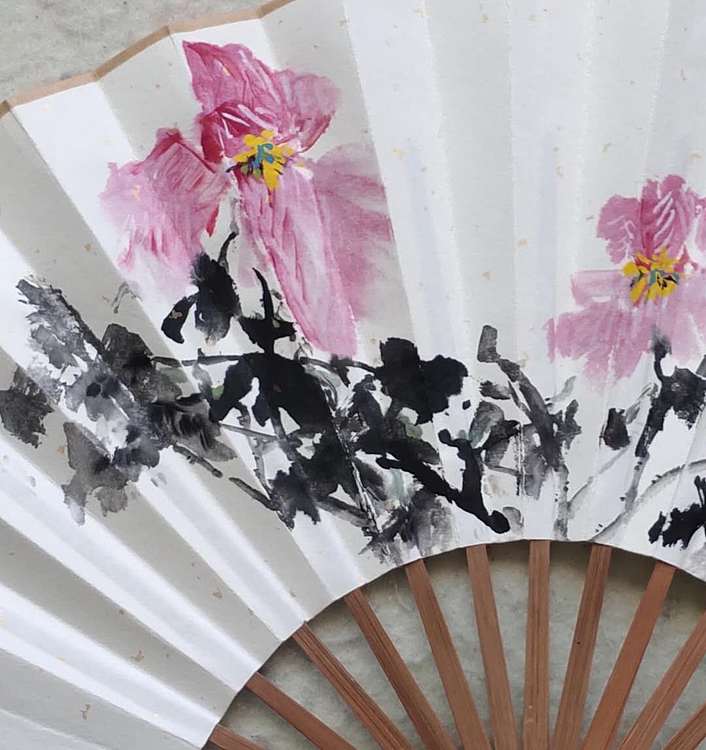 王宽 《木槿花开》