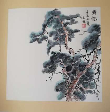 张玉柱 青松