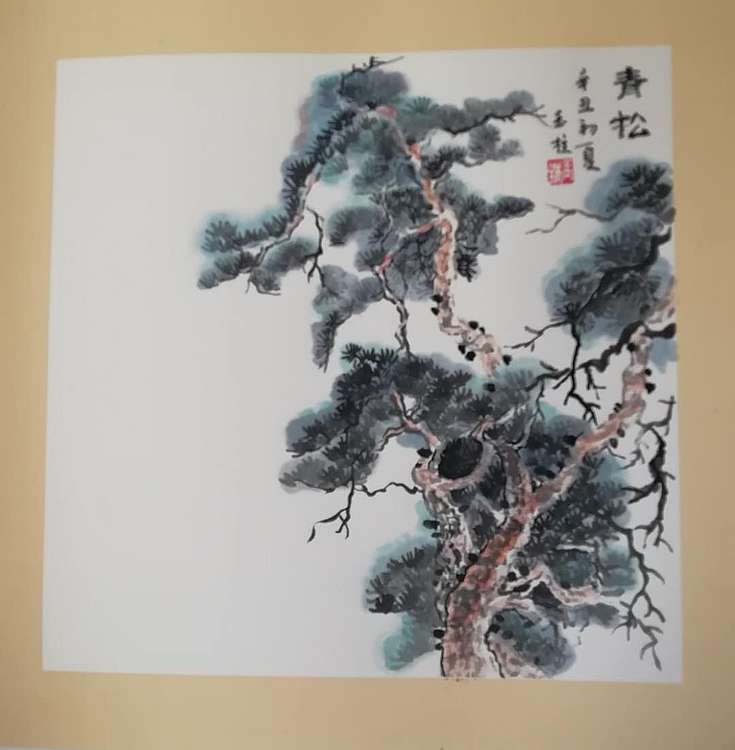 张玉柱 青松