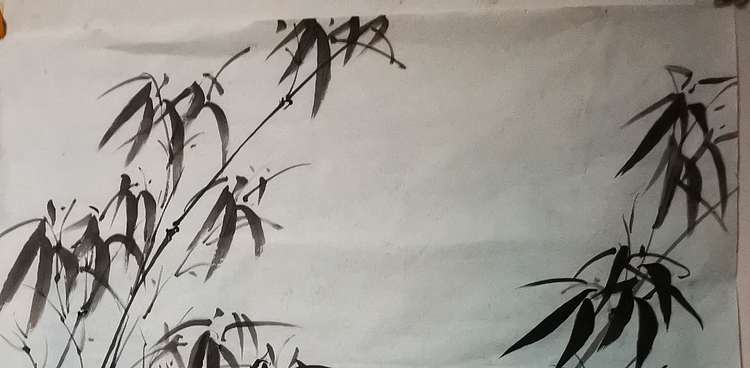 范彩君 《福寿安康》中国老年书画研究会会员