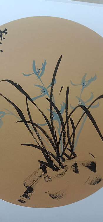 号惠筠，字岚瀞 兰香