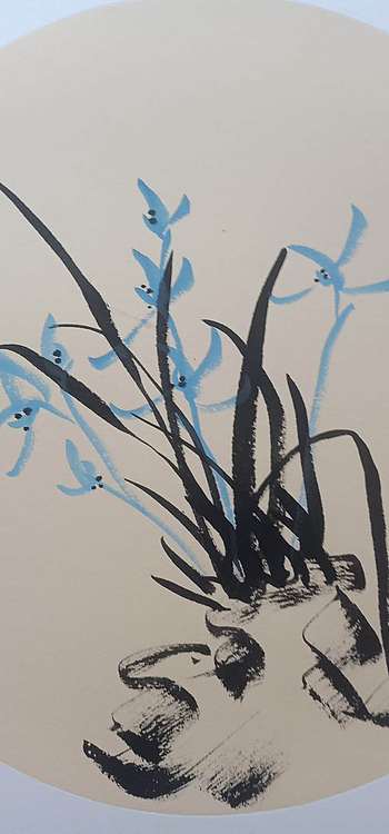 号惠筠，字岚瀞 兰香