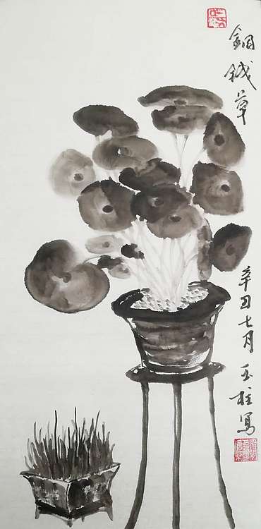美术教师，赤峰画院青年潜力艺术家--张玉柱 铜钱草