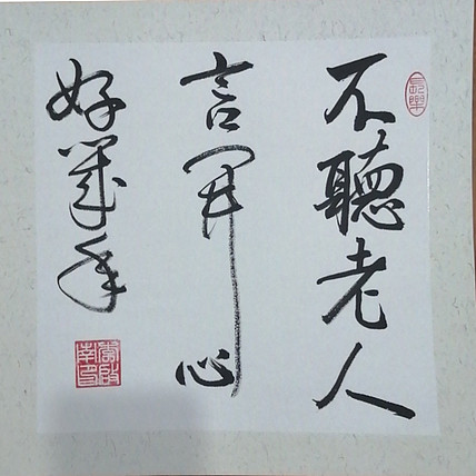青年书法家 李启南 《不听老人言》