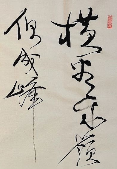 老钱 《题西林壁》苏轼