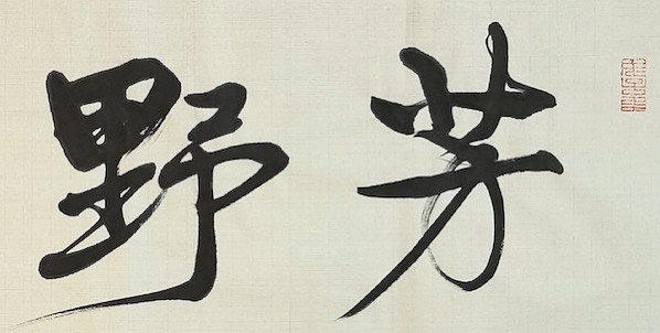 老钱 芳野踏歌