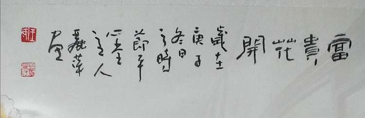 王丽萍 中国书法家协会会员 工笔富贵花开