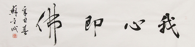 当代实力派青年艺术家 艺术学博士后 中美协中书协双会员 苏轼后人 苏金成 书法作品