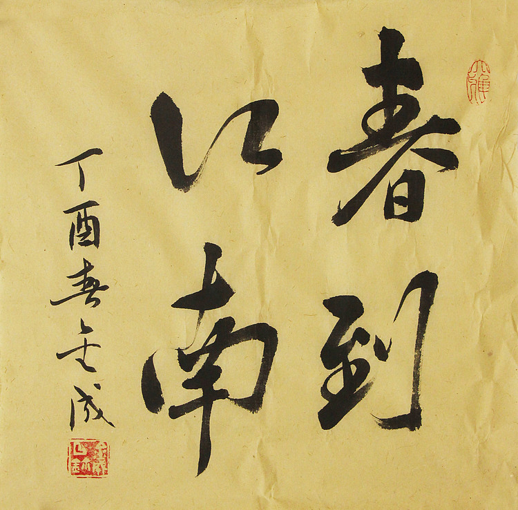 当代实力派青年艺术家 艺术学博士后 中美协中书协双会员 苏轼后人 苏金成 书法作品