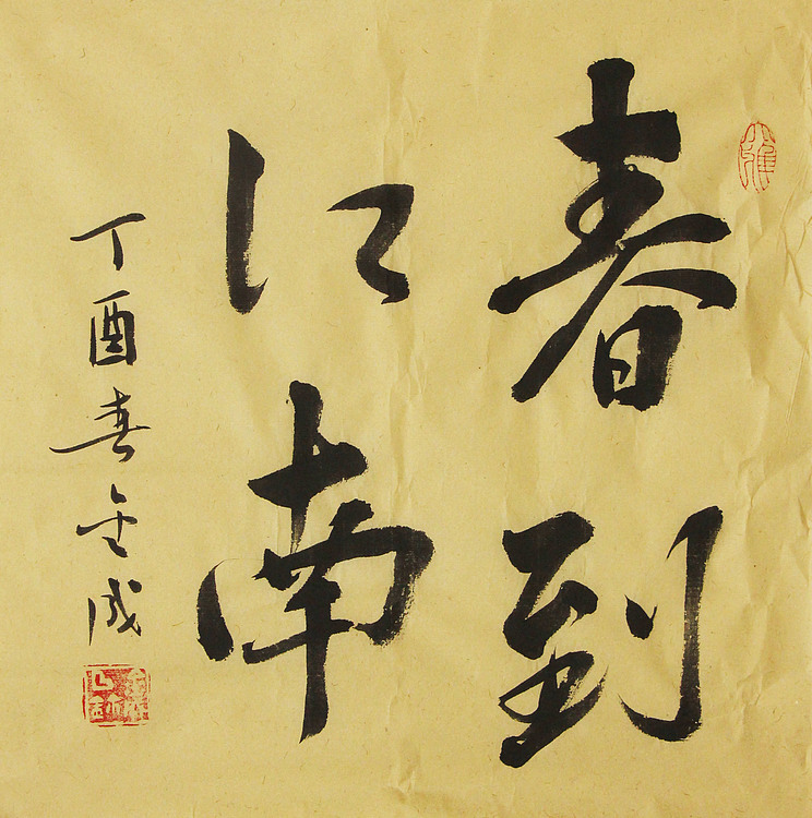 当代实力派青年艺术家 艺术学博士后 中美协中书协双会员 苏轼后人 苏金成 书法作品