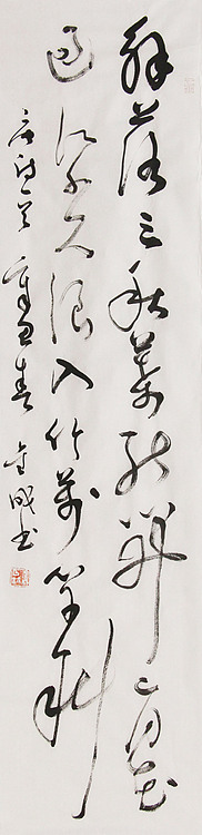 当代实力派青年艺术家 艺术学博士后 中美协中书协双会员 苏轼后人 苏金成 书法作品