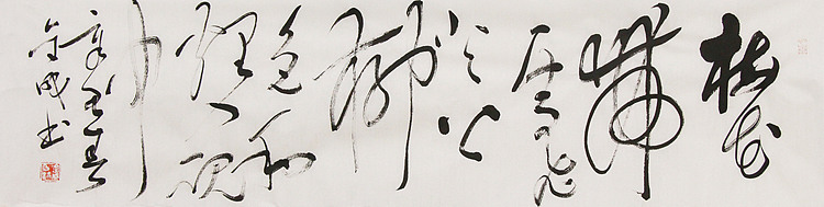 当代实力派青年艺术家 艺术学博士后 中美协中书协双会员 苏轼后人 苏金成 书法作品