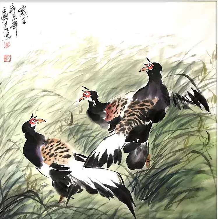 云中艺吉 珍禽