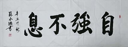 苏永强 中国书画家协会会员书法作品