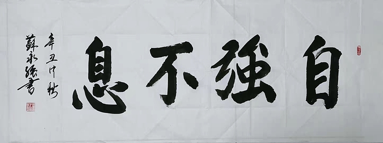 苏永强 中国书画家协会会员书法作品