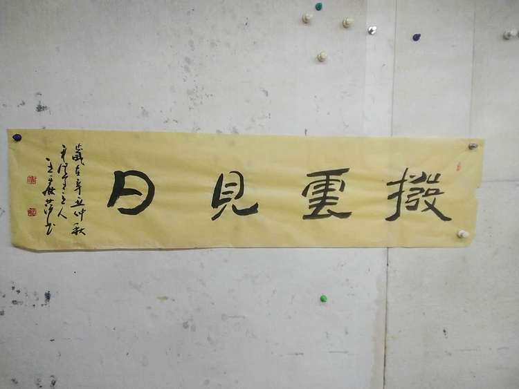 王丽萍 《拨雲见日》书法简书中国书法家协会会员辽宁省书法家协会理事