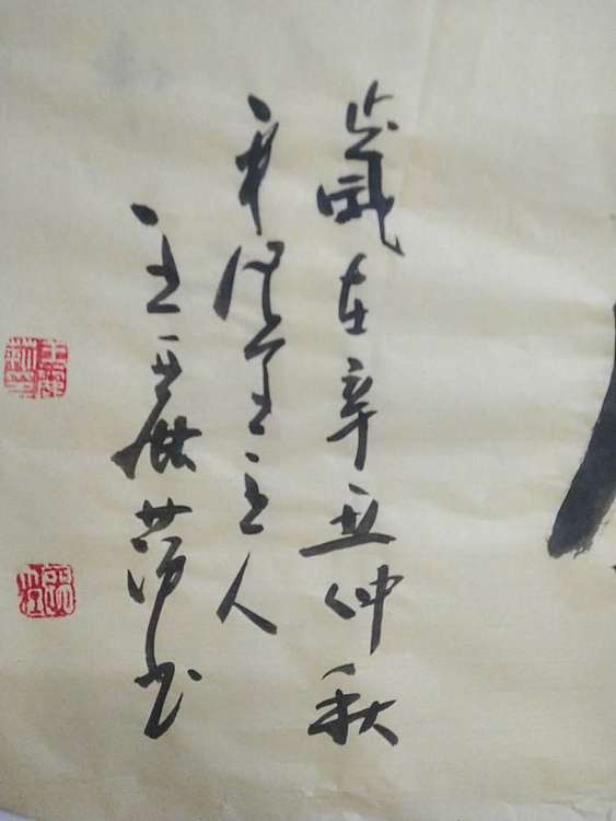 王丽萍 《拨雲见日》书法简书中国书法家协会会员辽宁省书法家协会理事