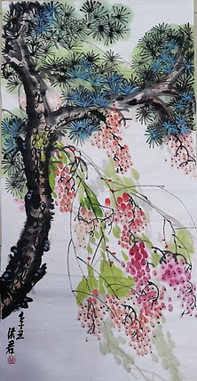 洪君 一树金