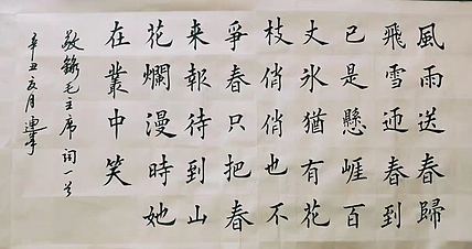 陈连峰 卜算子咏梅