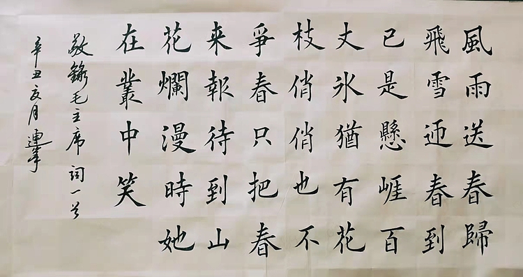 陈连峰 卜算子咏梅