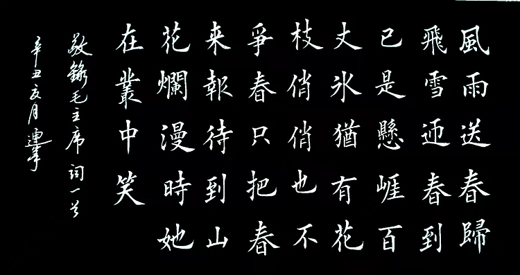 陈连峰 卜算子咏梅