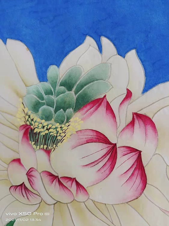 亓夏红 荷花小品