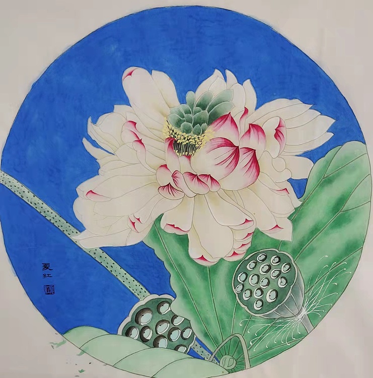 亓夏红 荷花小品
