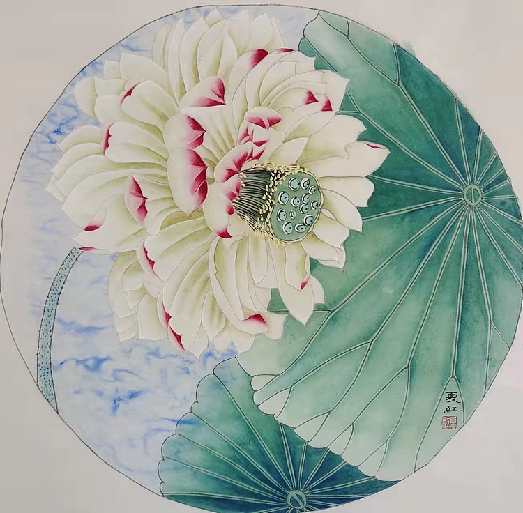 亓夏红 荷花小品