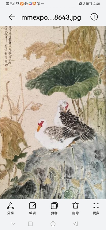 青蘭小亭 荷塘栖息