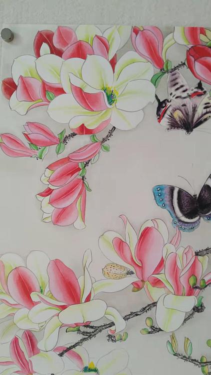 砚沐 玉兰蝶恋花