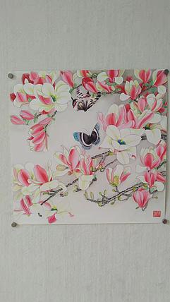 砚沐 玉兰蝶恋花