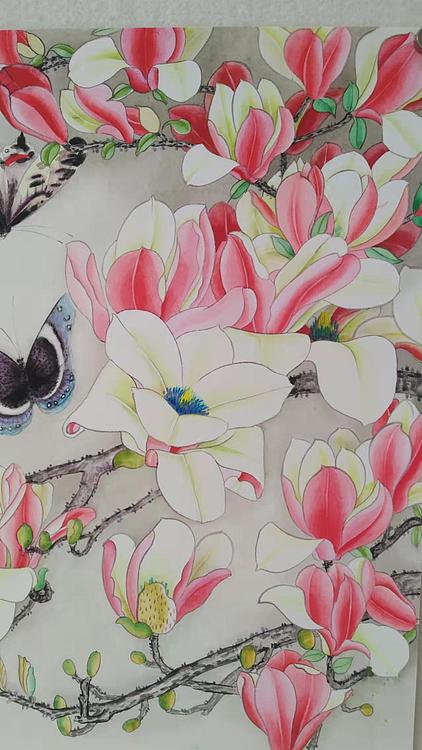 砚沐 玉兰蝶恋花