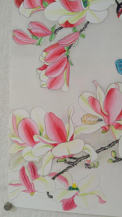 砚沐 玉兰蝶恋花
