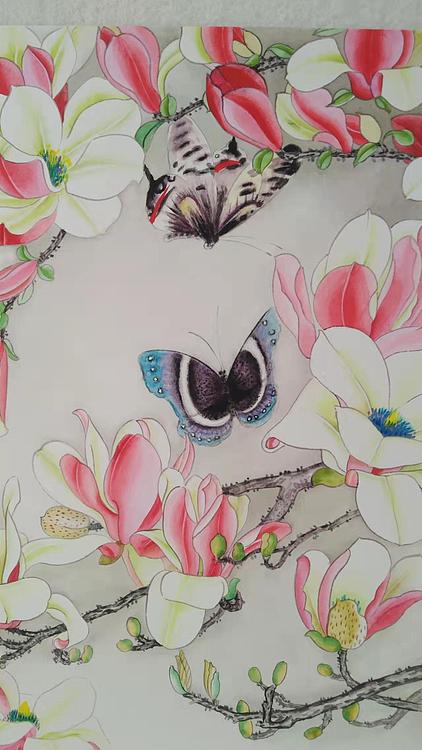砚沐 玉兰蝶恋花