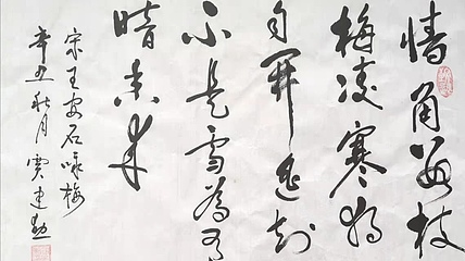贾建勋 梅花