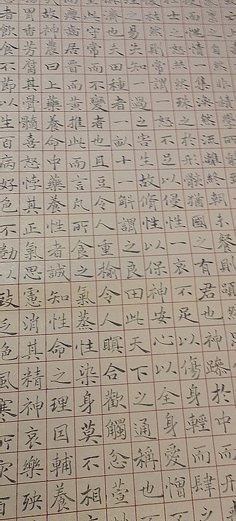淮河居士 稽康养生论
