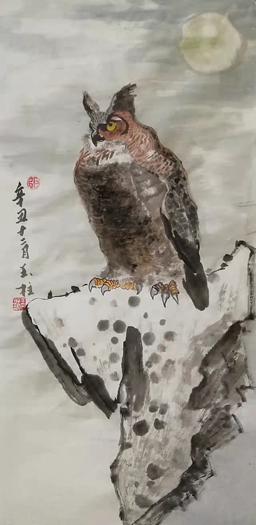 张玉柱 猫头鹰