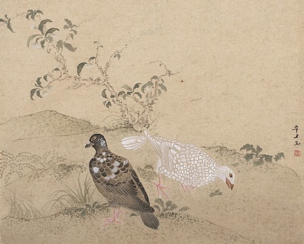 中国艺术研究院硕士 王玉 精品花鸟