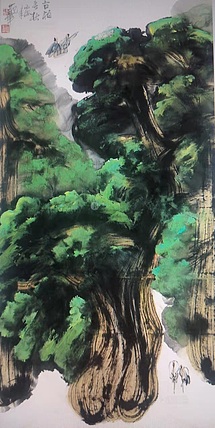 范华，陕西国画院院长