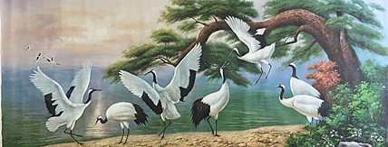 陈一茗 松鹤