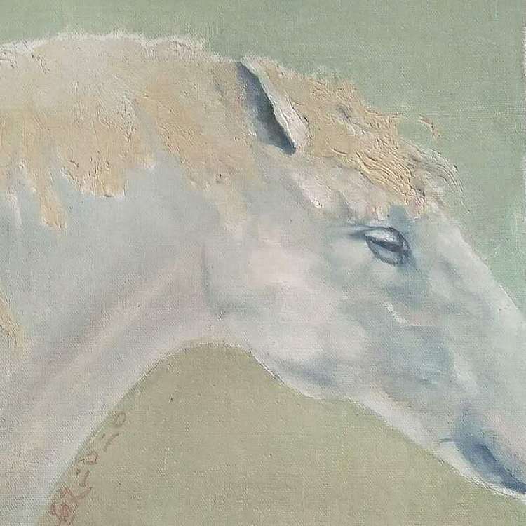 岳志敏 原创油画作品《马》