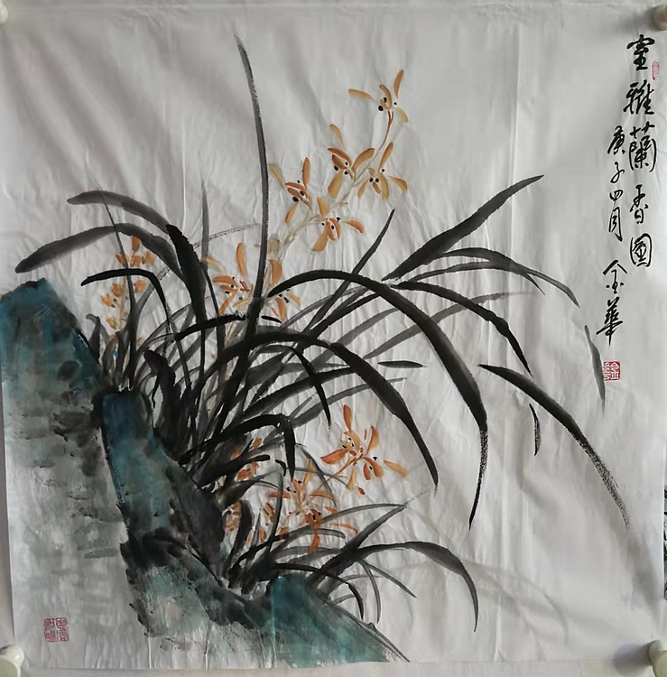 金华 室雅兰香14
