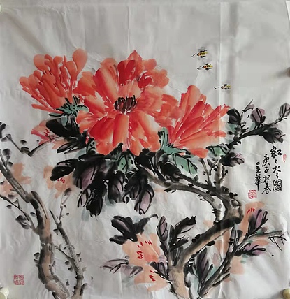 金华 红红火火13