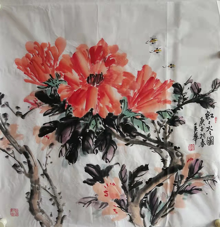 金华 红红火火13