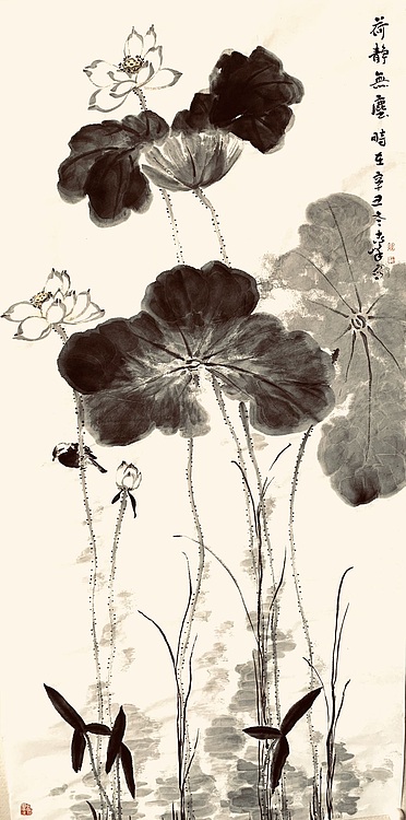 石松 荷静无尘