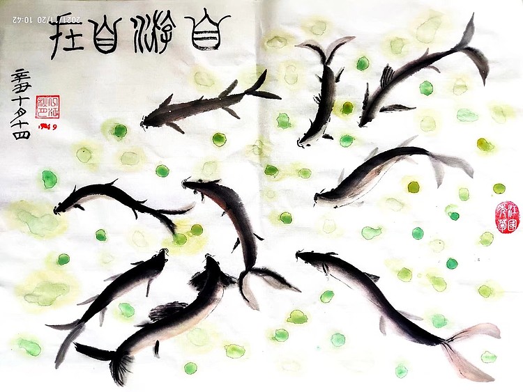 江秋月 自由自在